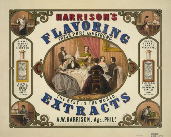 Flavoring Extracts Advertisement Poster - 1800s Extracts Print, Retro Kitchen Decor, Antique Food Advertising, Culinary Wall Art