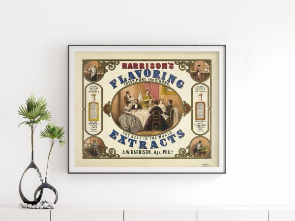 Flavoring Extracts Advertisement Poster - 1800s Extracts Print, Retro Kitchen Decor, Antique Food Advertising, Culinary Wall Art