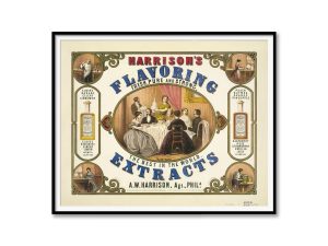 Flavoring Extracts Advertisement Poster – 1800s Extracts Print, Retro Kitchen Decor, Antique Food Advertising, Culinary Wall Art