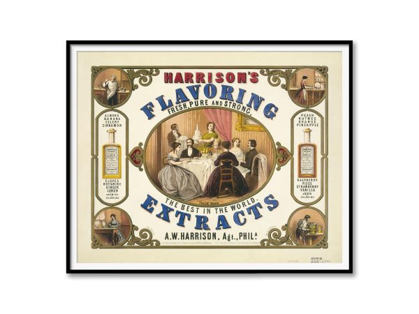 Flavoring Extracts Advertisement Poster - 1800s Extracts Print, Retro Kitchen Decor, Antique Food Advertising, Culinary Wall Art