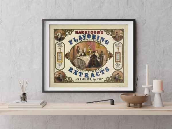 Flavoring Extracts Advertisement Poster - 1800s Extracts Print, Retro Kitchen Decor, Antique Food Advertising, Culinary Wall Art