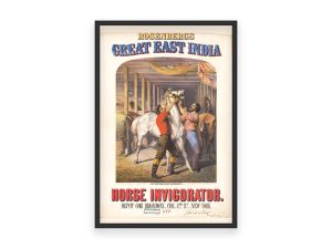 Rosenberg’s Great East India Horse Invigorator 1861 Poster – Vintage Equine Advertising, Retro Animal Care Decor, Antique Wall Art